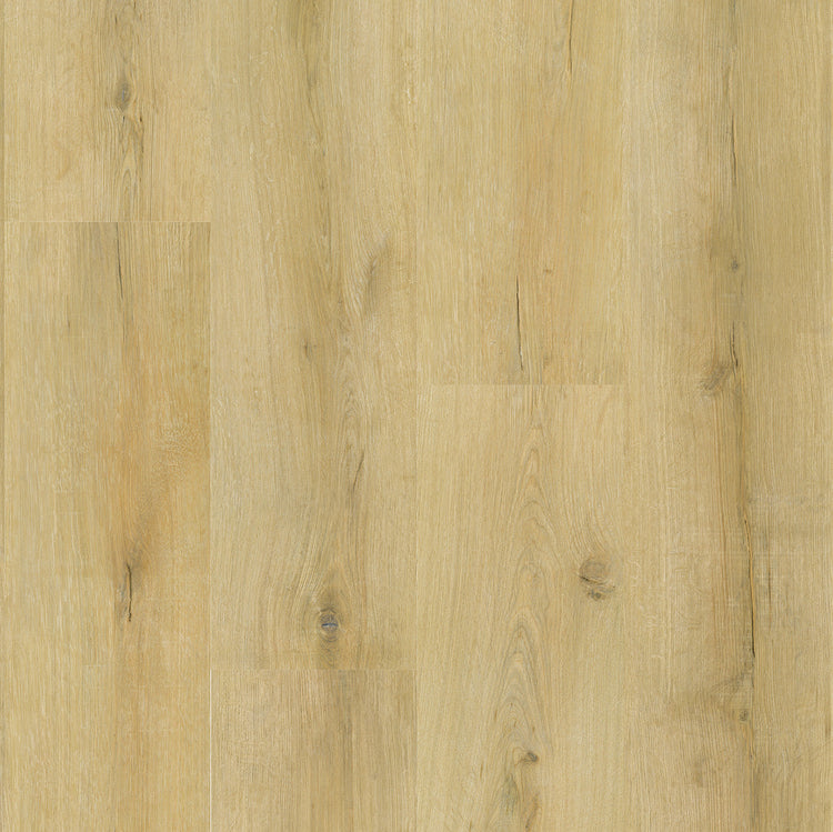 »Eiche Oslo« SPC Vinylboden Home Holzoptik Draufsicht