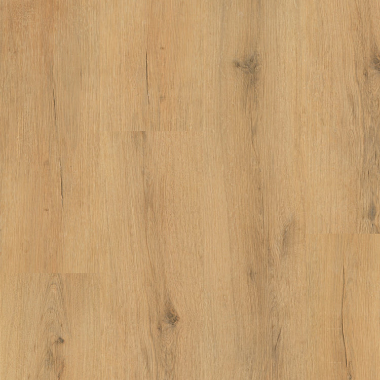 »Eiche Amsterdam« SPC Vinylboden Home Draufsicht Holzoptik 