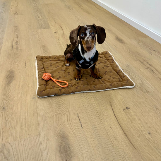 »Light Oak« Premium Klick-Vinyl