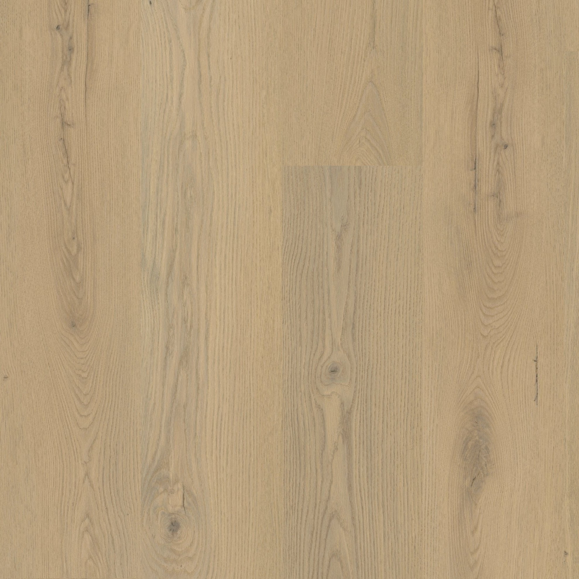 »Light Oak« Premium Klick-Vinyl