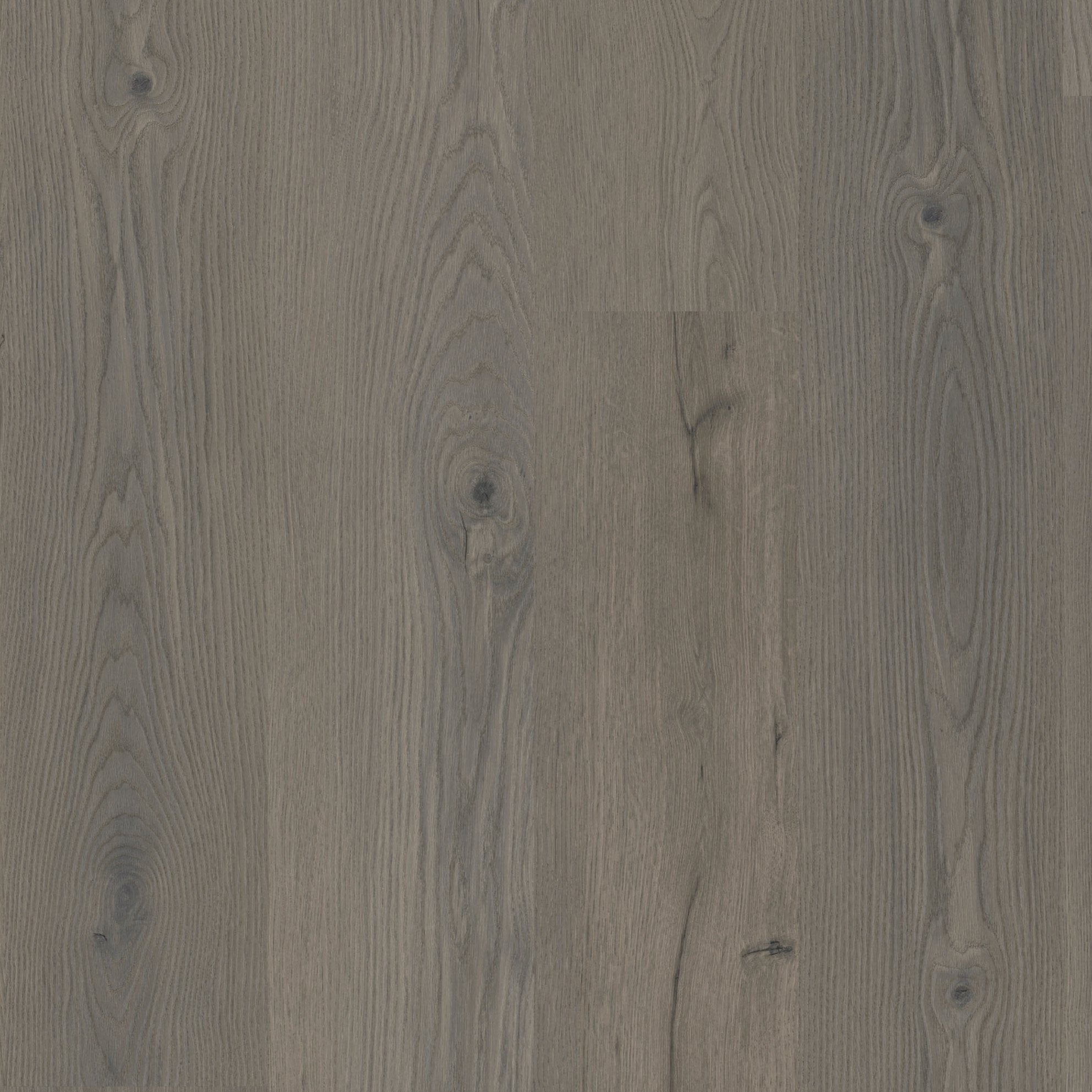 »Grey Oak« Premium Klick-Vinyl