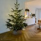 Fischgerät Design in Braun im modernen Esszimmer