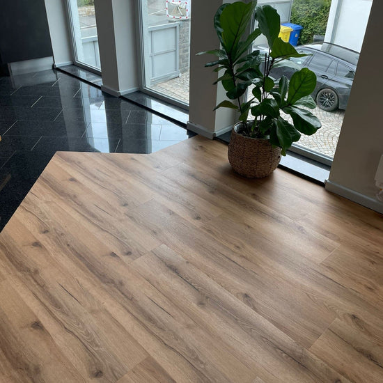 »Der Laminat-Shop24 Bestseller« Klick-Vinylboden