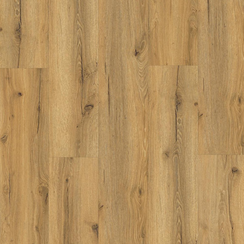 Muster von »Golden Oak« Premium Klick-Vinyl Ultimate Draufsicht
