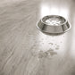 »Champagne Gloss« Klick-Vinylboden