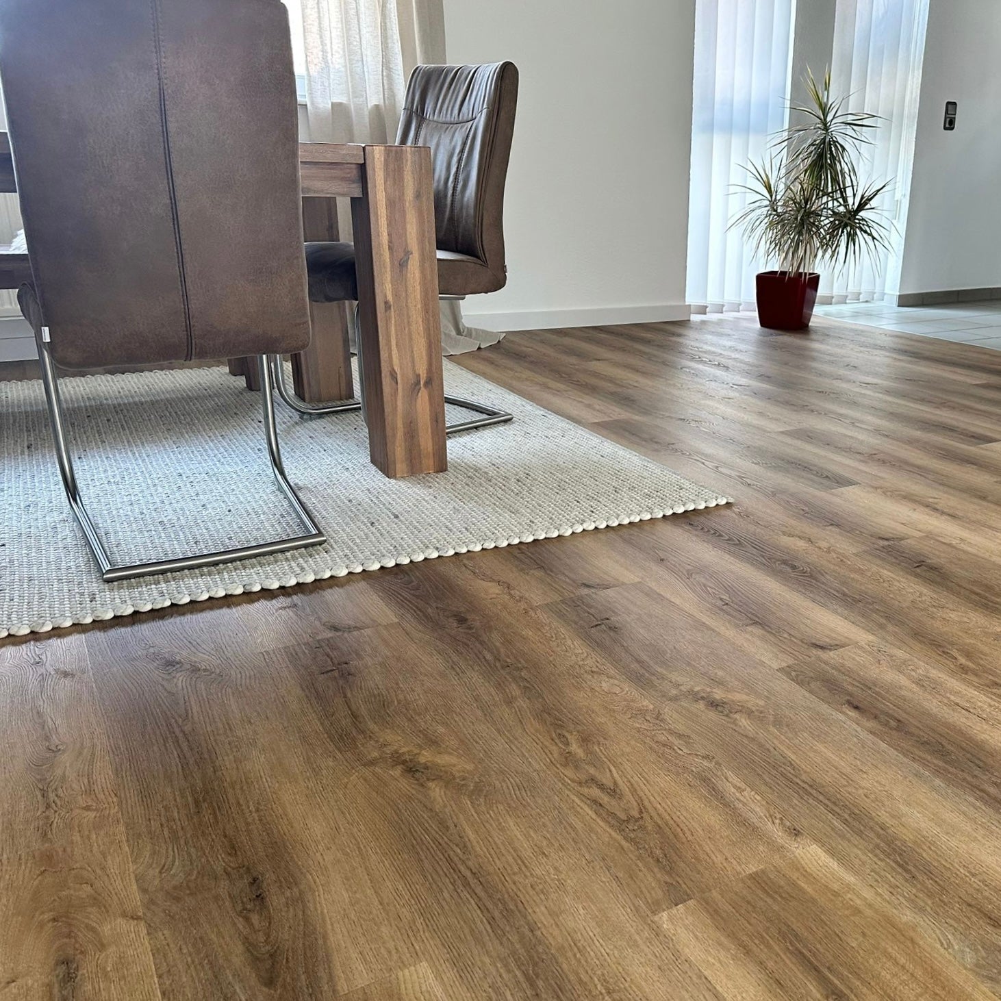 Eiche Eiche Apatura Klick-Vinylboden in Wohnzimmer mit Holztisch, Stühlen, Teppich und Pflanze