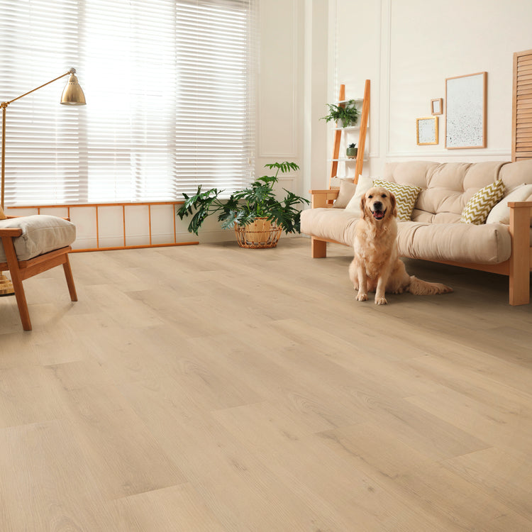 Wohnzimmer mit Klick Vinyl in Eiche hell – LaminatShop24 Laminat Fachhandel und Online Shop
