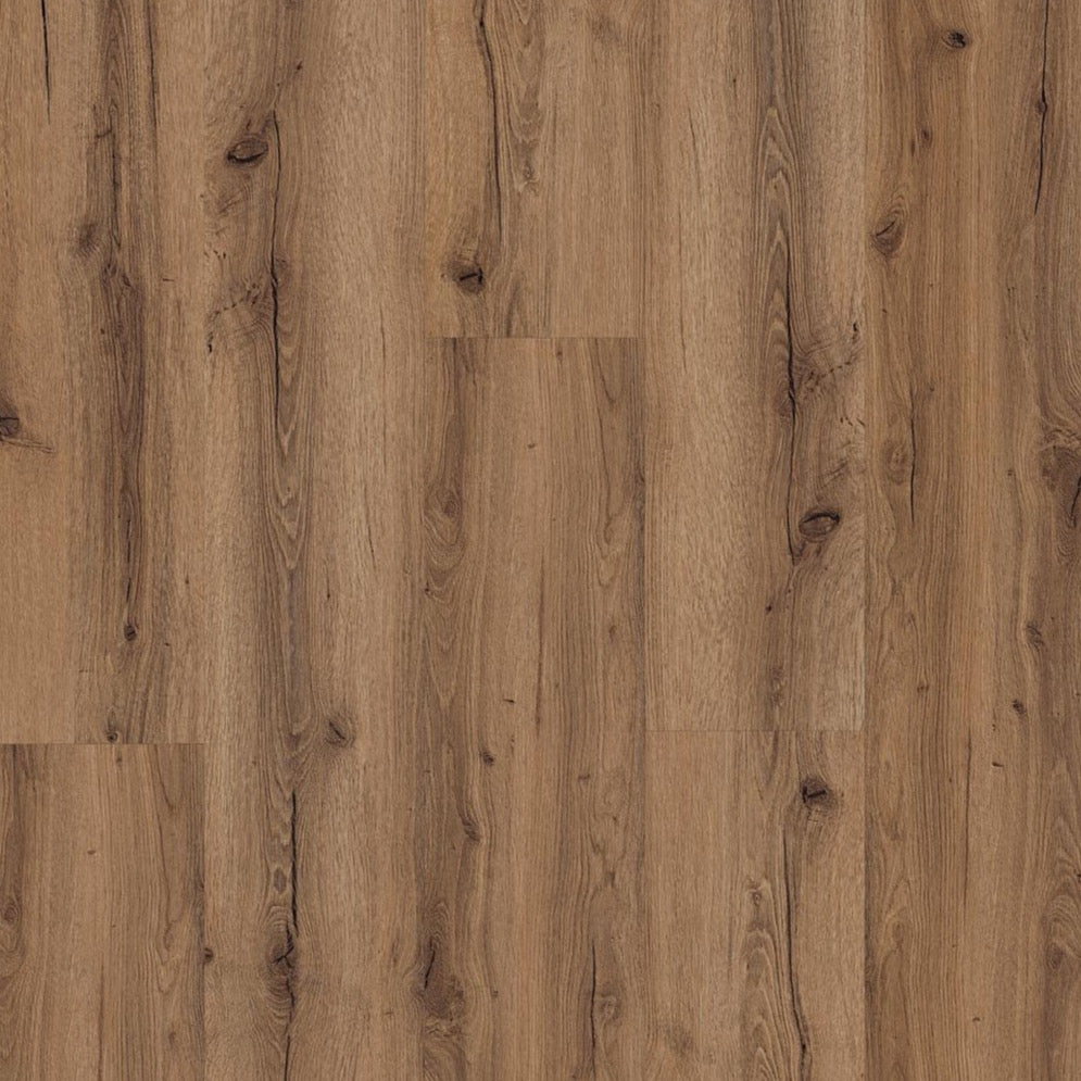 Ginger-Oak_Pyronia_Flaechenansicht_Frontal Draufsicht