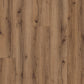 Ginger-Oak_Pyronia_Flaechenansicht_Frontal Draufsicht