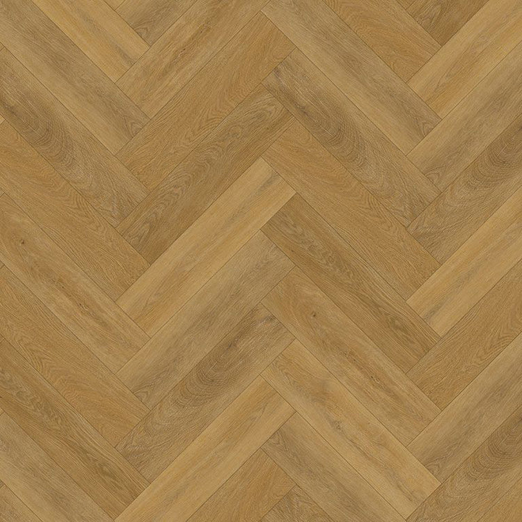 Draufsicht Modernes Fischgerät Design